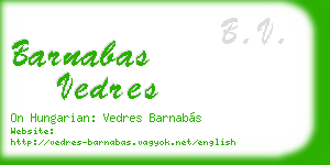 barnabas vedres business card